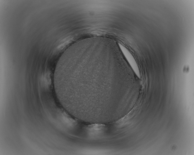 X0000091960128200709201352