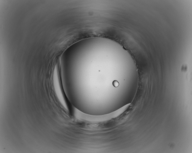 X0000091960129200709201352