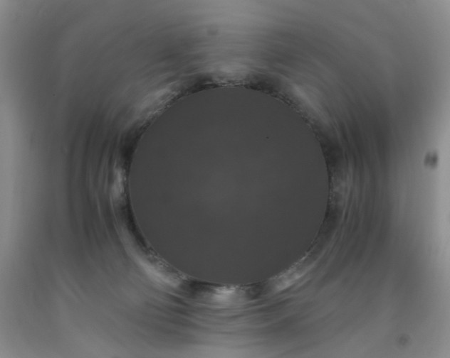 X0000091960130200709201352