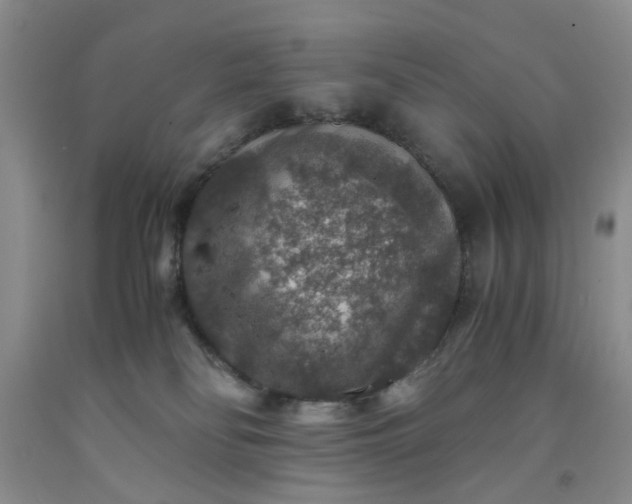 X0000091960134200709201352