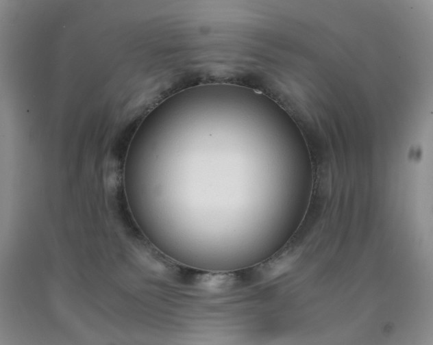 X0000091960135200709201352