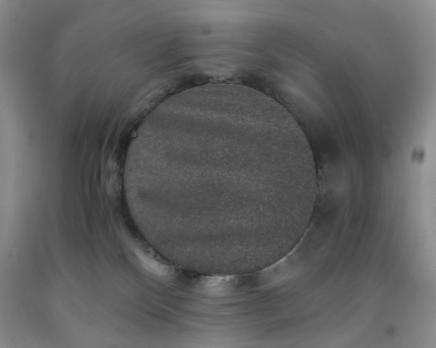 X0000091960136200709201352