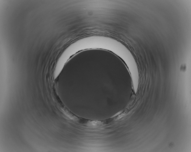 X0000091960137200709201352