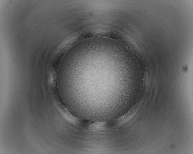 X0000091960138200709201352