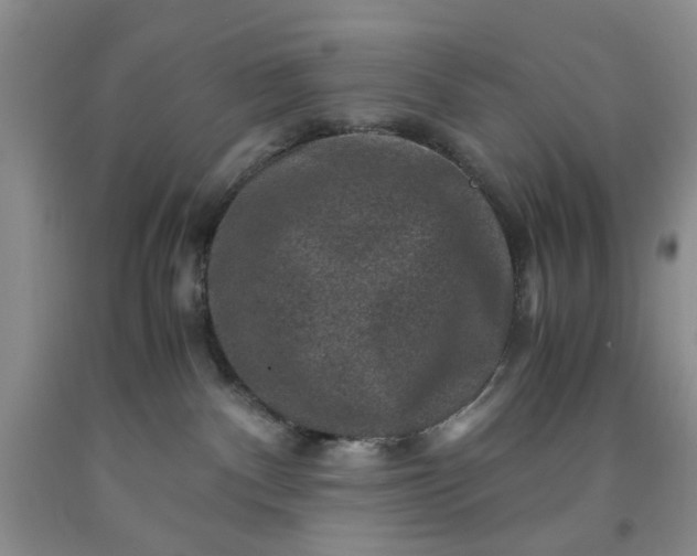 X0000091960140200709201352