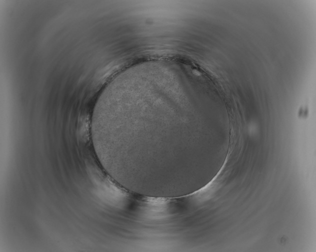 X0000091960144200709201352