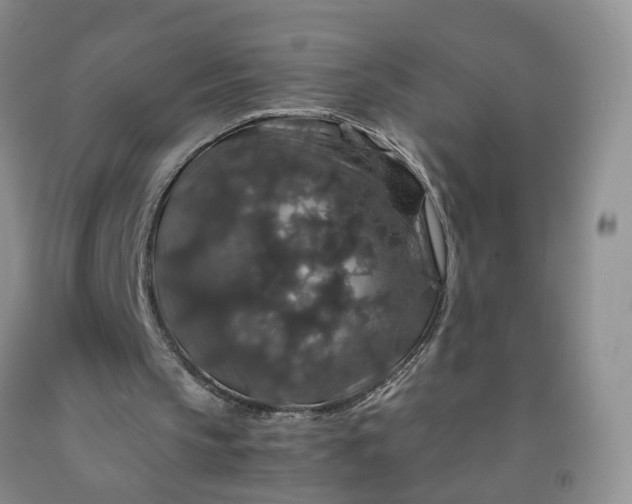 X0000091960145200709201351