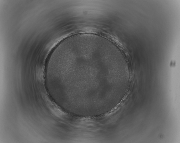 X0000091960146200709201351