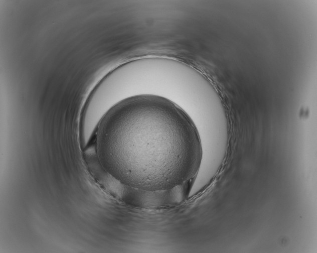 X0000091960148200709201351