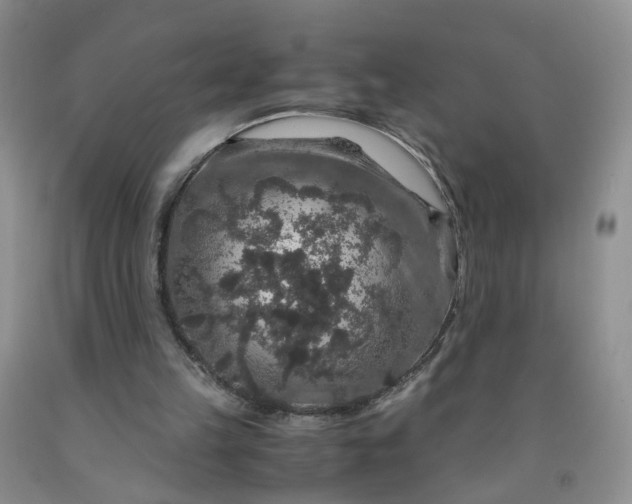 X0000091960149200709201351