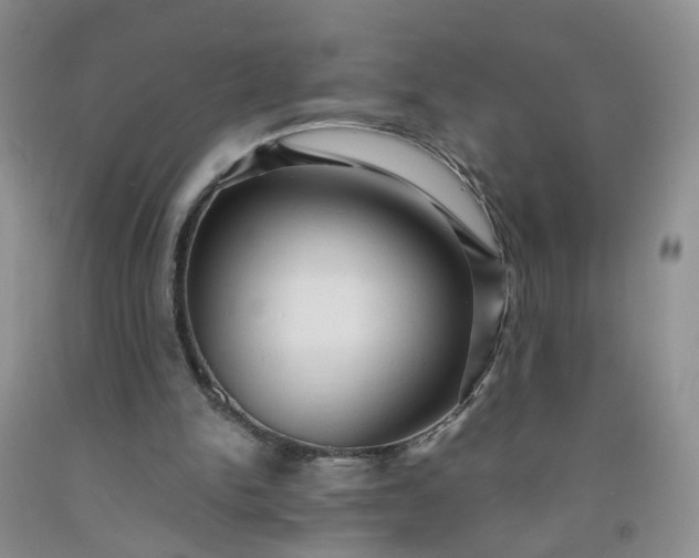 X0000091960150200709201351