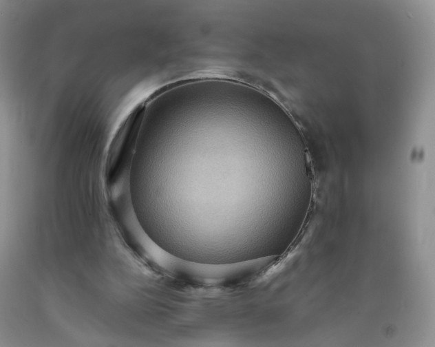 X0000091960152200709201351