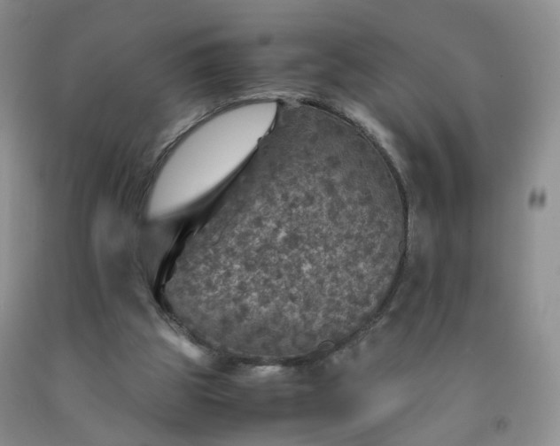 X0000091960153200709201351