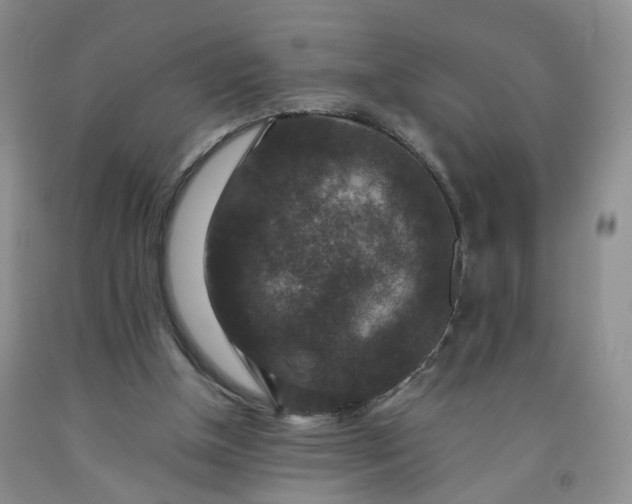 X0000091960154200709201351