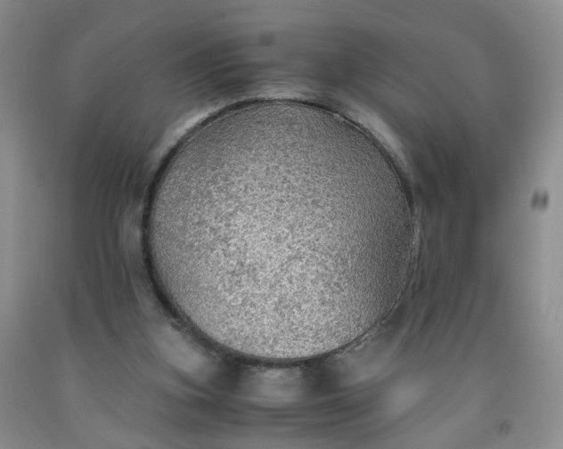 X0000091960155200709201351