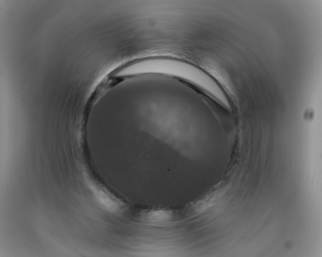 X0000091960156200709201351