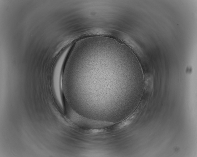 X0000091960158200709201351