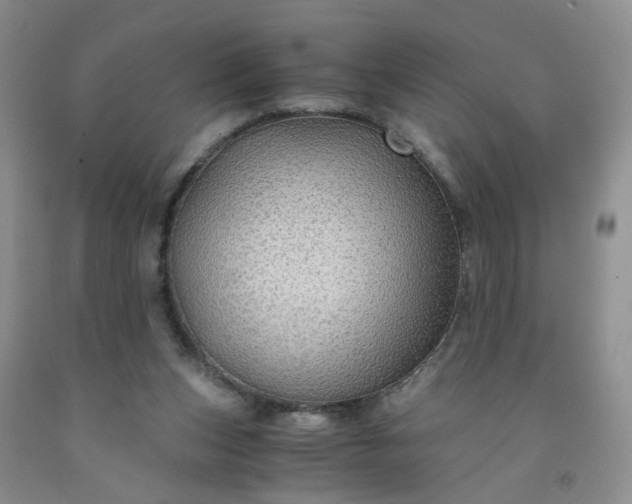 X0000091960159200709201351