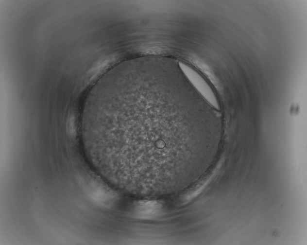 X0000091960161200709201351