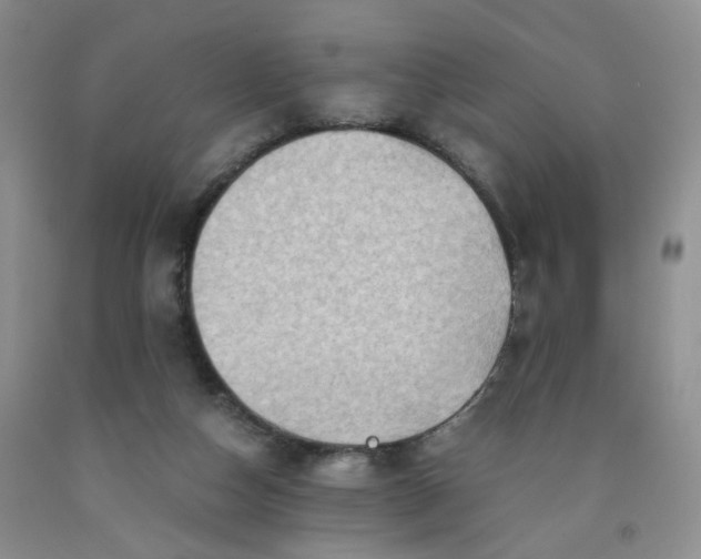 X0000091960162200709201351