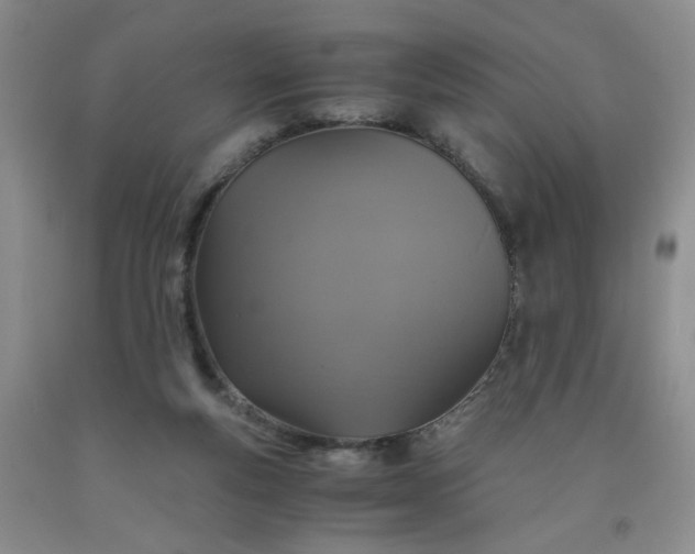 X0000091960163200709201351