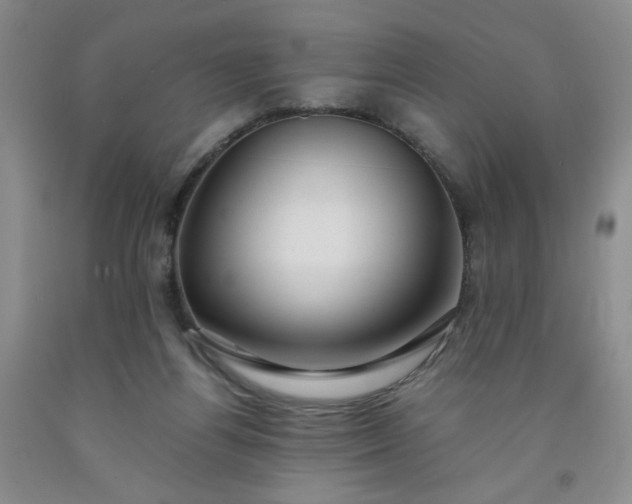 X0000091960164200709201351