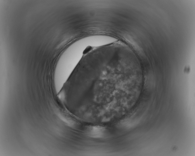 X0000091960165200709201351