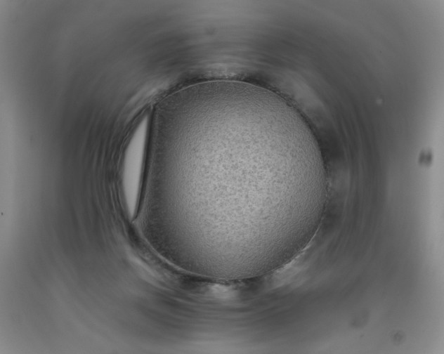 X0000091960166200709201351