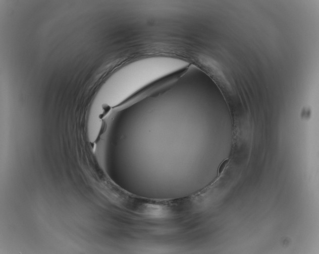 X0000091960167200709201351