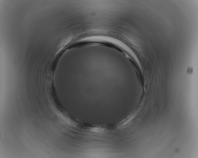 X0000091960168200709201351