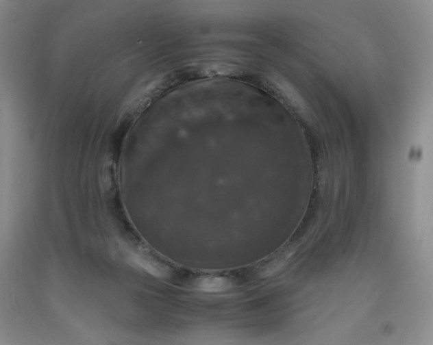 X0000091960169200709201351