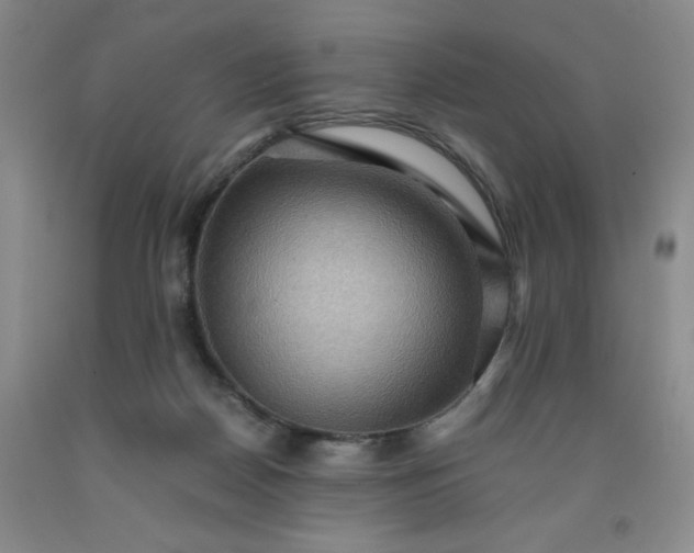 X0000091960170200709201351