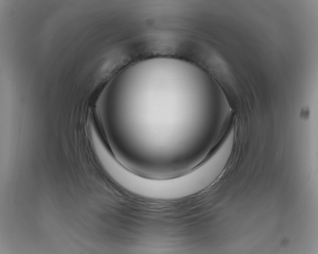 X0000091960172200709201351