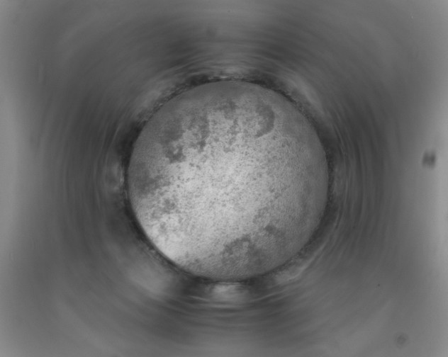 X0000091960173200709201351