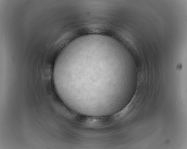 X0000091960174200709201351