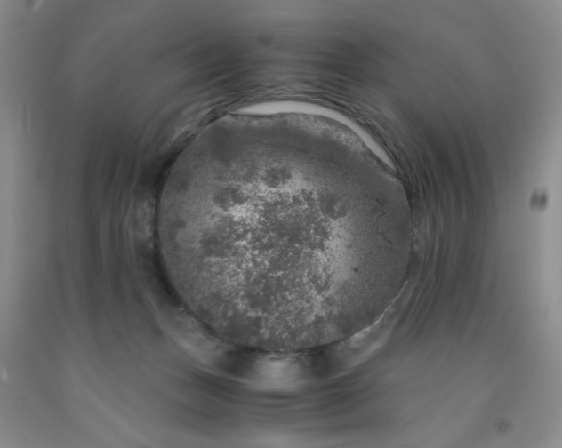 X0000091960175200709201351