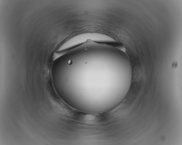 X0000091960176200709201351