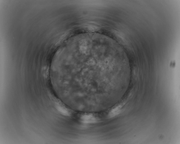 X0000091960177200709201351