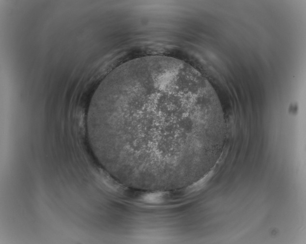 X0000091960178200709201351