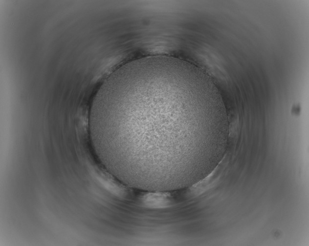 X0000091960179200709201351