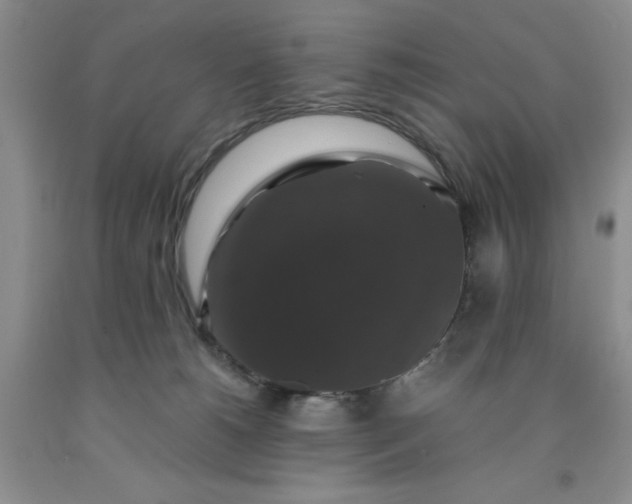 X0000091960180200709201351