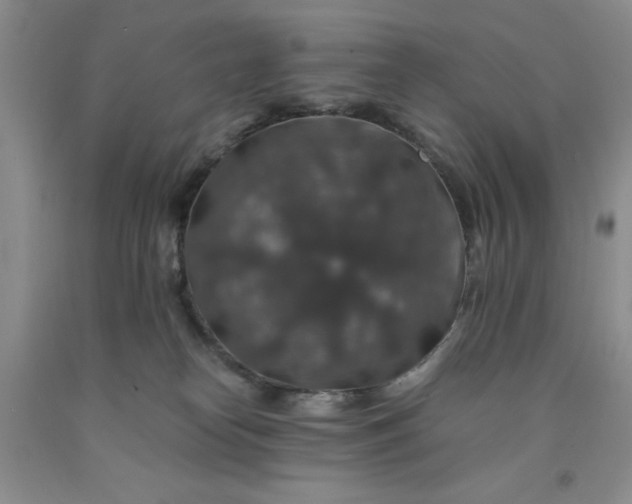 X0000091960182200709201351