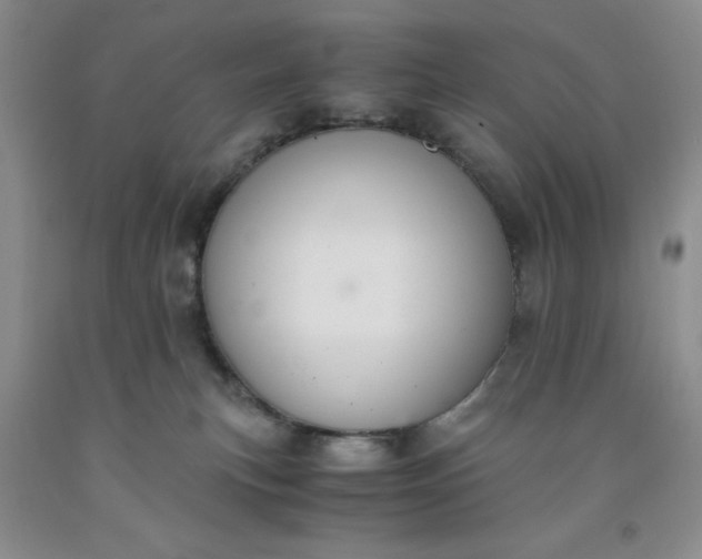 X0000091960183200709201351