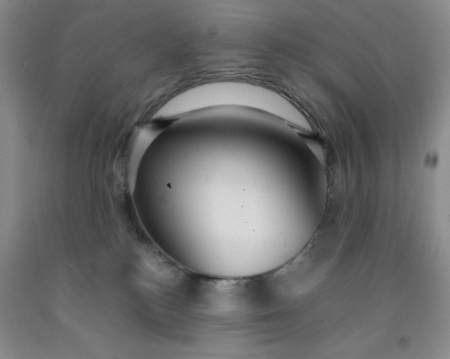 X0000091960184200709201351