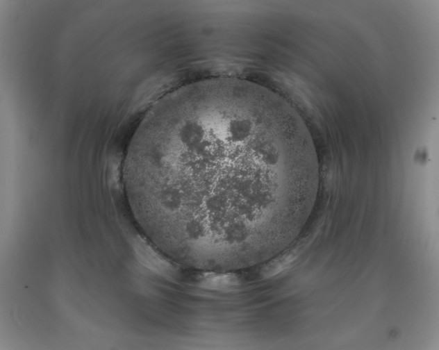 X0000091960185200709201352