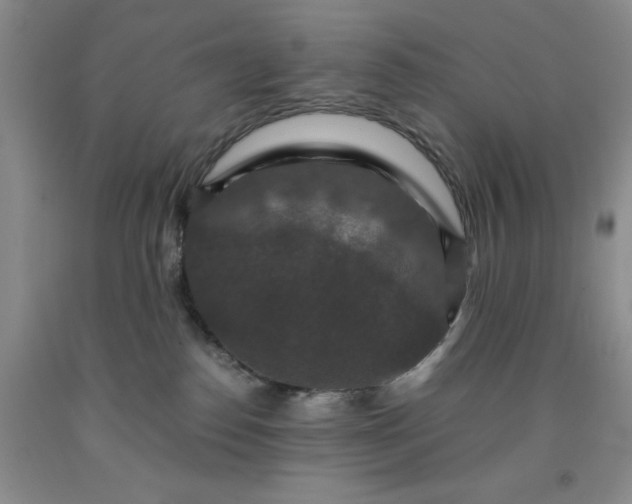 X0000091960186200709201352