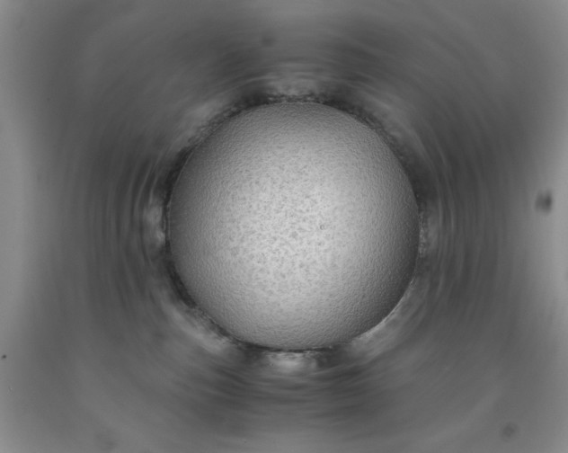 X0000091960187200709201352