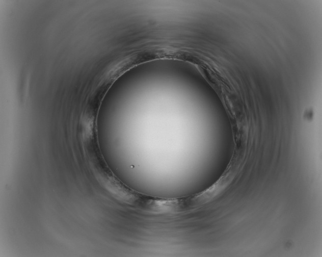 X0000091960188200709201352