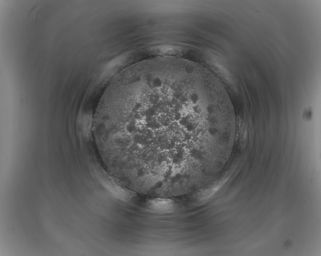 X0000091960189200709201352