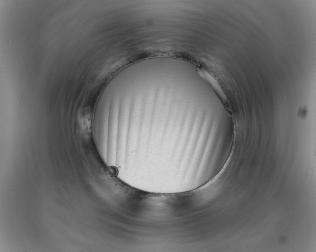 X0000091960190200709201352